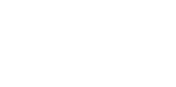 International Travelers background picture of the plane